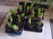 Enlarge photo 37