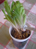 Enlarge photo 18