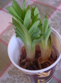 Enlarge photo 26