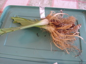 Enlarge photo 27