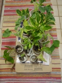 Enlarge photo 2