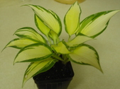 Enlarge photo 3