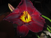 Enlarge photo 63