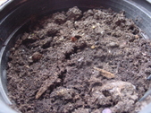Enlarge photo 44