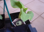 Enlarge photo 28
