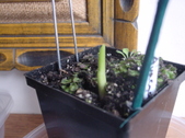 Enlarge photo 14