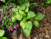 Enlarge photo 34