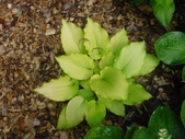 Enlarge photo 32