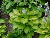 Enlarge photo 27