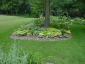 Enlarge photo 35