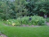 Enlarge photo 36