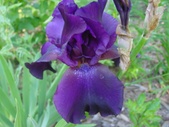 Enlarge photo 32