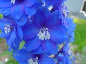 Enlarge photo 31