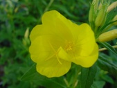 Enlarge photo 34