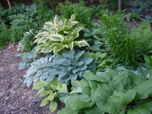 Enlarge photo 26