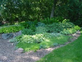 Enlarge photo 40