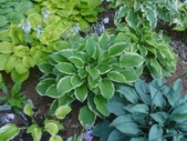 Enlarge photo 37
