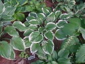 Enlarge photo 39