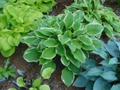 Enlarge photo 32