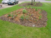 Enlarge photo 35