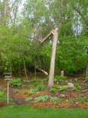 Enlarge photo 37