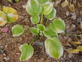 Enlarge photo 125
