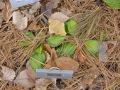 Enlarge photo 133