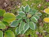 Enlarge photo 116
