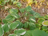 Enlarge photo 137