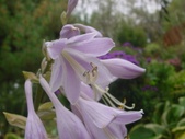 Enlarge photo 53
