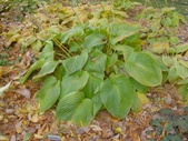 Enlarge photo 126