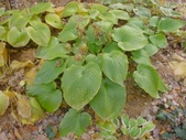 Enlarge photo 110