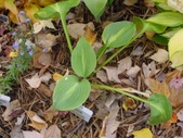 Enlarge photo 123