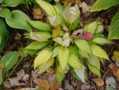 Enlarge photo 128