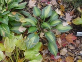 Enlarge photo 134