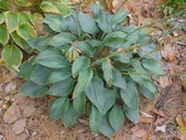Enlarge photo 138