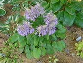 Enlarge photo 30