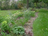 Enlarge photo 65
