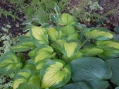 Enlarge photo 4