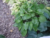 Enlarge photo 5