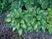 Enlarge photo 36