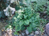 Enlarge photo 29