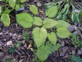 Enlarge photo 35