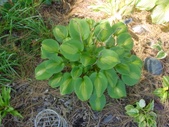 Enlarge photo 40