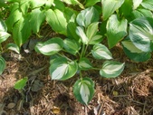 Enlarge photo 27