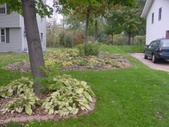 Enlarge photo 107