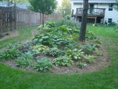 Enlarge photo 19