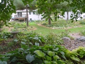 Enlarge photo 70