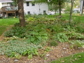 Enlarge photo 71