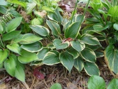 Enlarge photo 63
